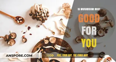 Mushroom Root Benefits: Uncovering Its Health Potential and Nutritional Value