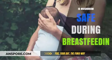 Mushrooms: Safe to Eat While Breastfeeding?