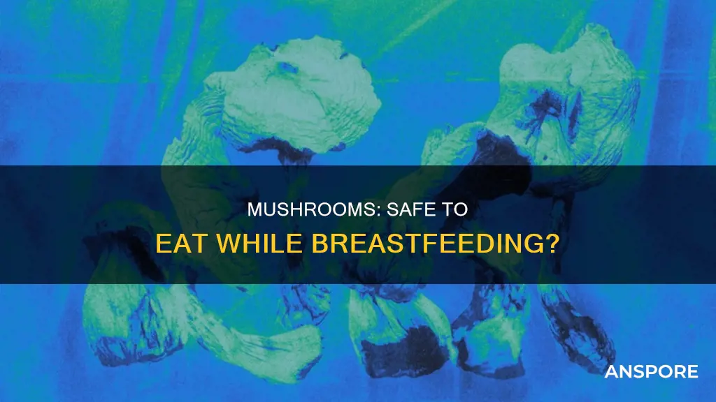 is mushroom safe during breastfeeding