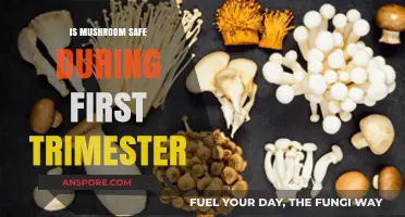 Mushroom Safety in First Trimester: What Expecting Moms Need to Know