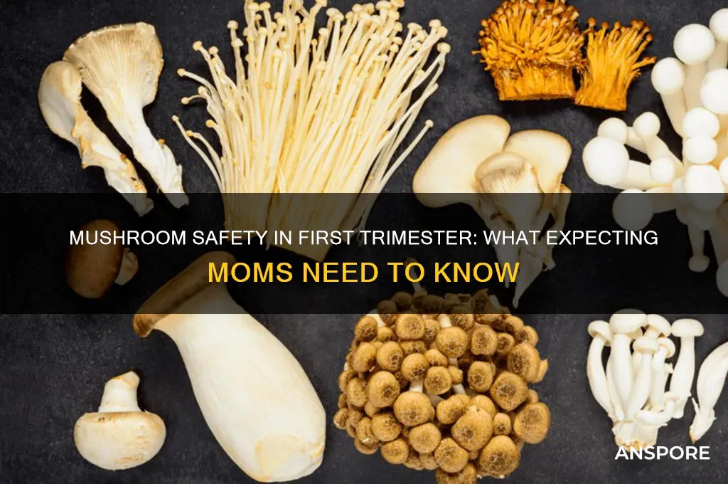 is mushroom safe during first trimester