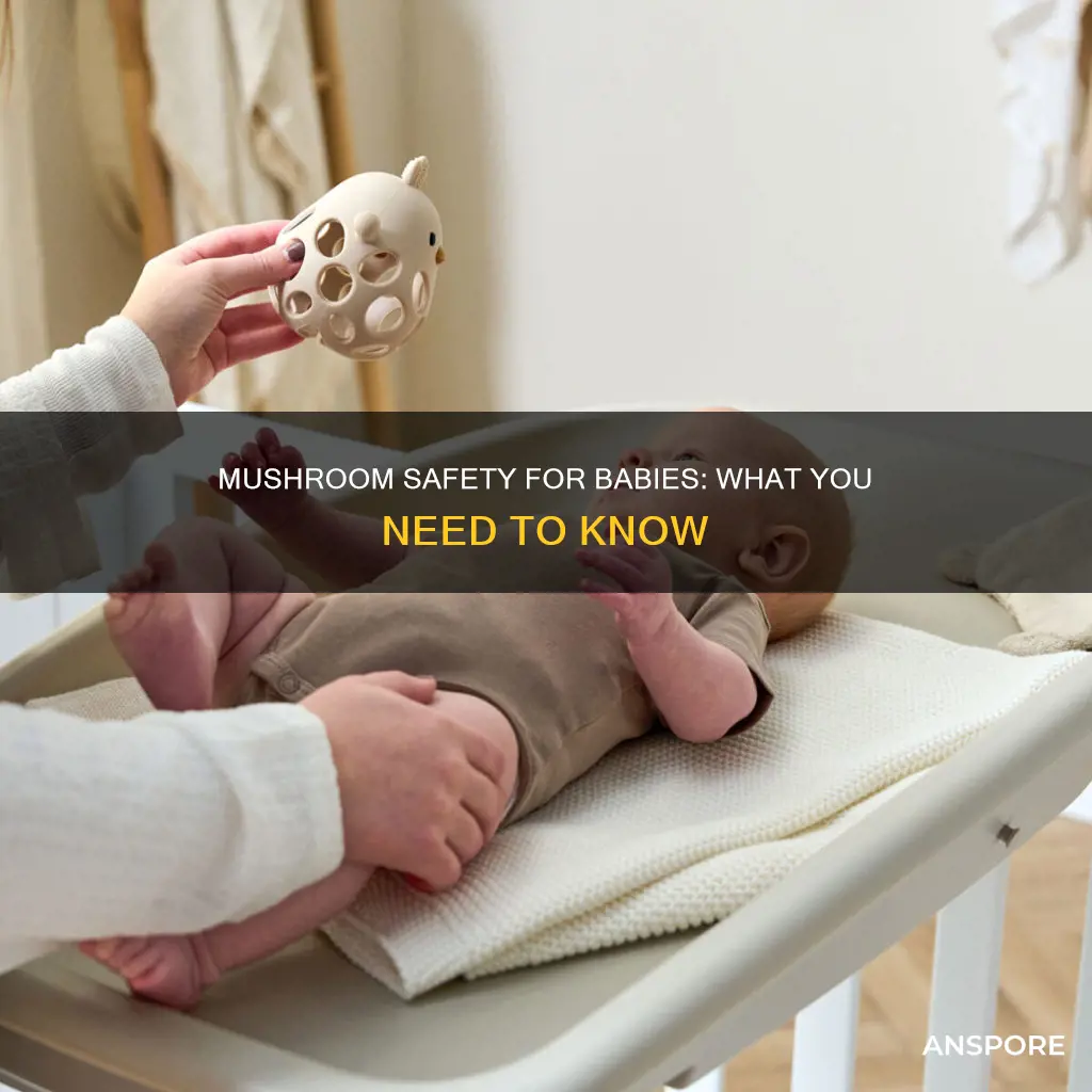is mushroom safe for babies