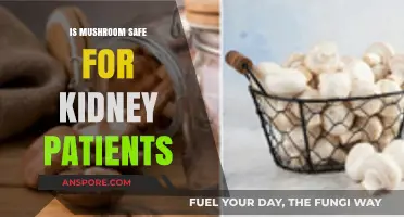 Mushrooms and Kidney Health: Safe or Risky for Patients?