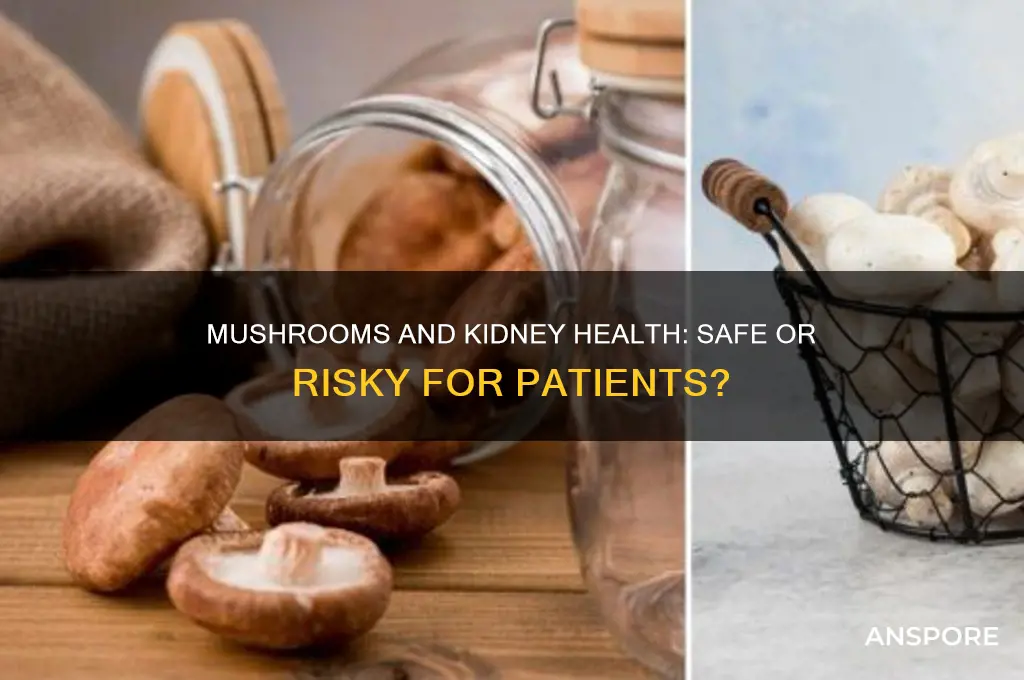 is mushroom safe for kidney patients