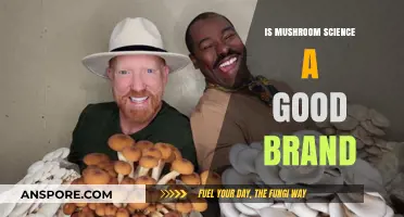 Is Mushroom Science a Good Brand? A Comprehensive Review and Analysis