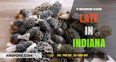 Indiana's Mushroom Season: Delayed Start or Typical Timing?