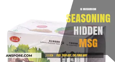Mushroom Seasoning: A Secret MSG Source?