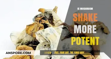 Mushroom Shakes: More Potent or Just a Myth?
