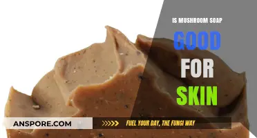 Mushroom Soap Benefits: Unlocking Radiant Skin with Natural Ingredients