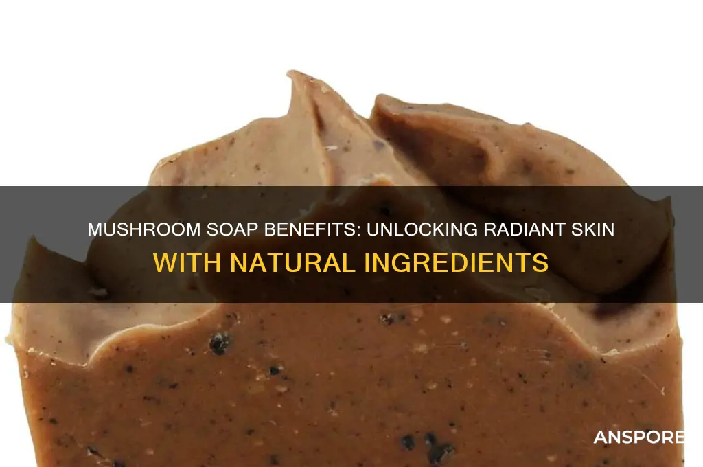 is mushroom soap good for skin