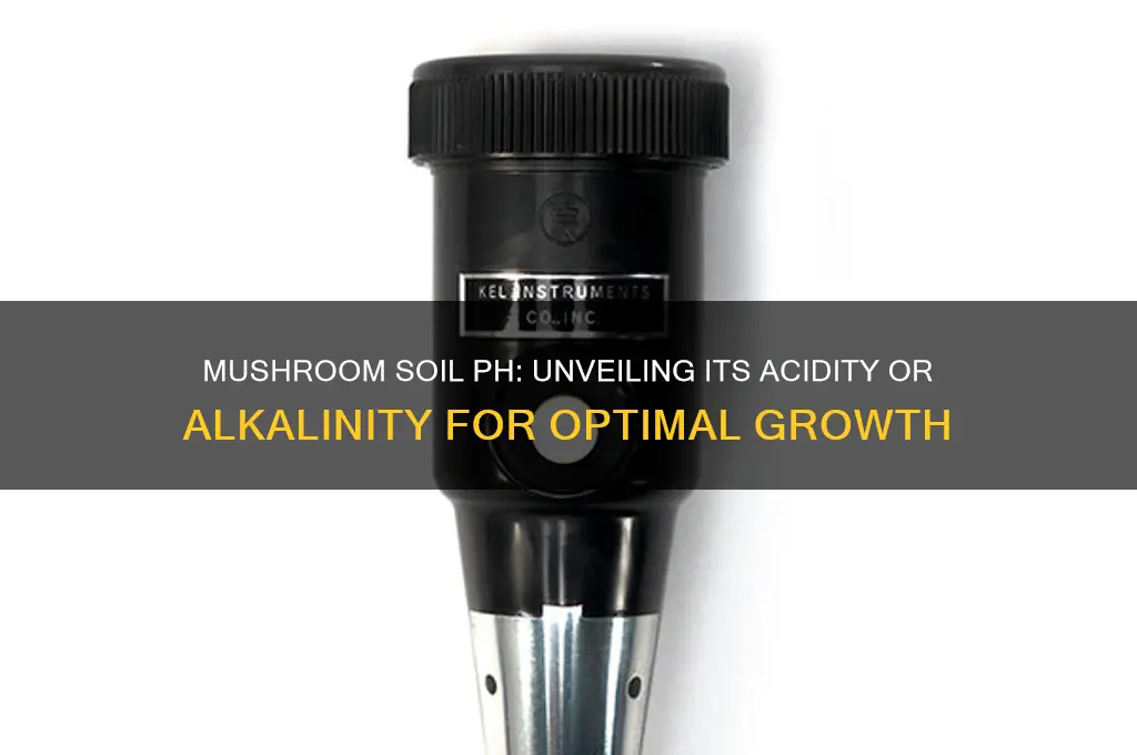 is mushroom soil acidic or alkaline