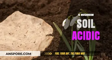 Mushroom Soil: Is It Acidic or Alkaline?