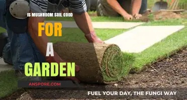 Mushroom Soil Benefits: Enhancing Garden Growth and Soil Health Naturally