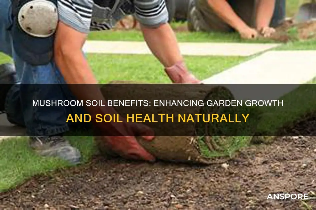 is mushroom soil good for a garden