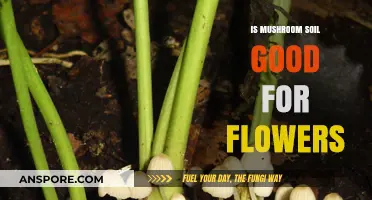 Boost Your Blooms: Mushroom Soil Benefits for Vibrant Flowers