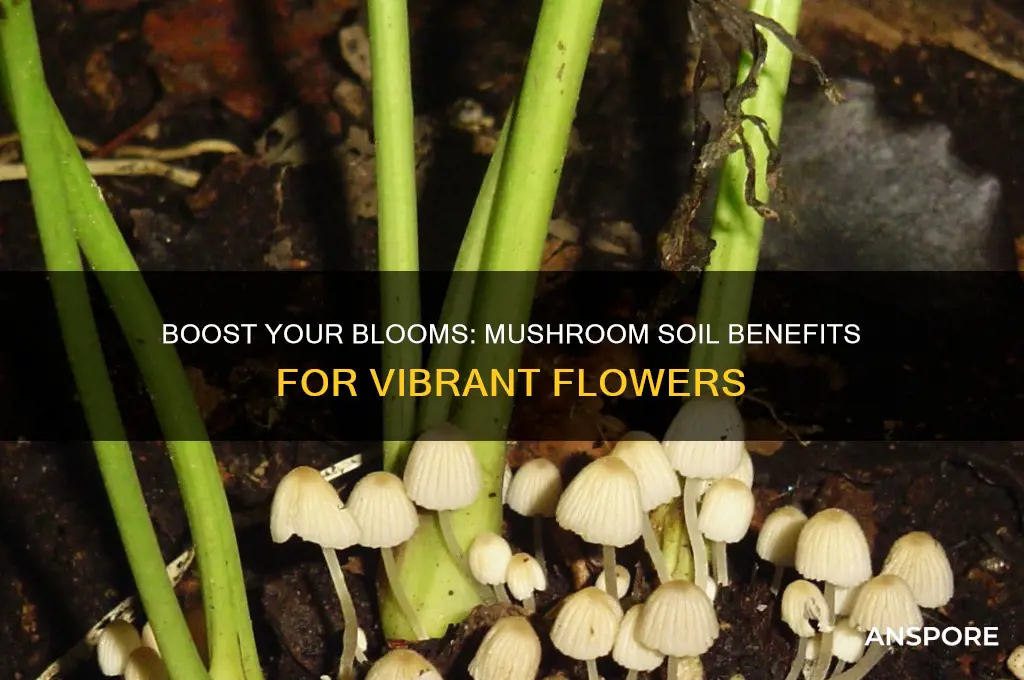is mushroom soil good for flowers