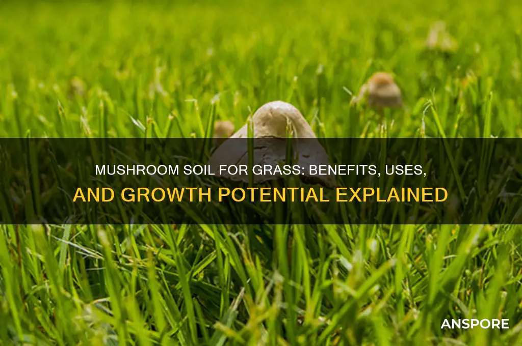 is mushroom soil good for growing grass