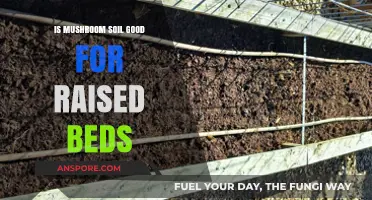Mushroom Soil Benefits: Enhancing Raised Bed Gardening for Healthy Plants