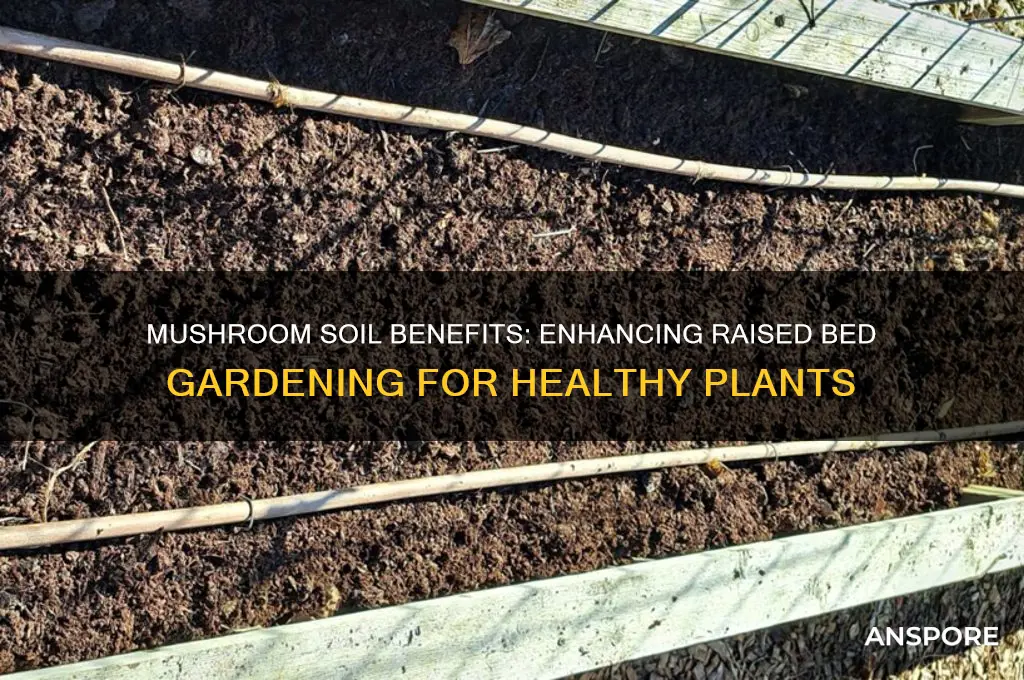 is mushroom soil good for raised beds