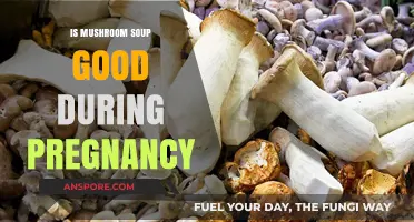 Mushroom Soup During Pregnancy: Nutritional Benefits and Safety Tips