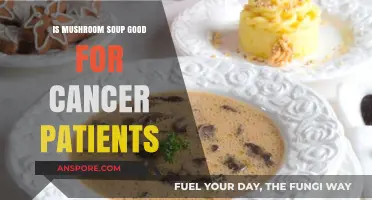 Mushroom Soup Benefits: A Nutritious Option for Cancer Patients?
