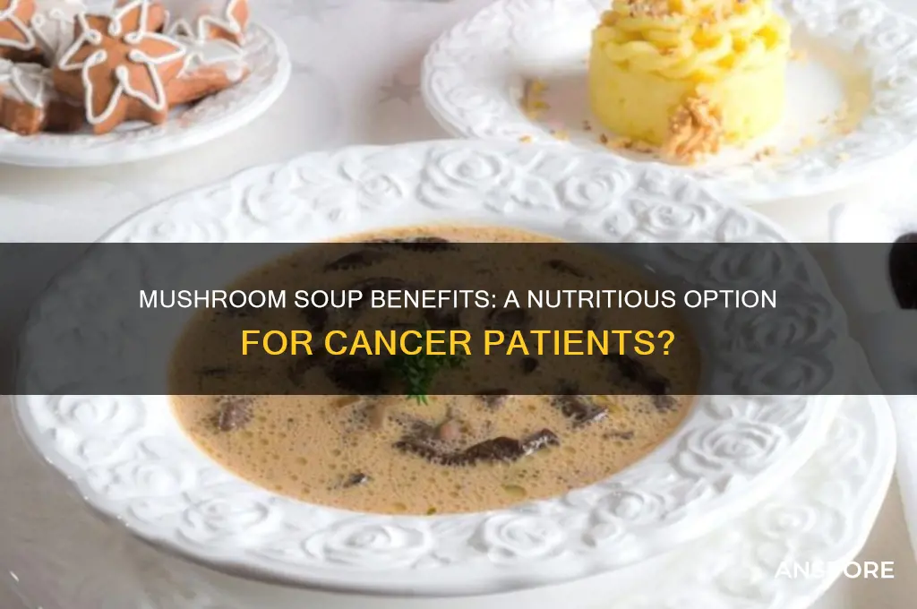 is mushroom soup good for cancer patients
