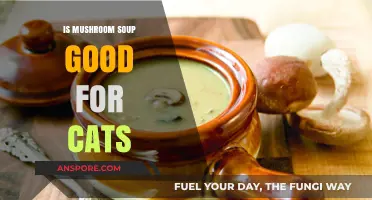 Can Cats Safely Enjoy Mushroom Soup? A Pet Owner's Guide