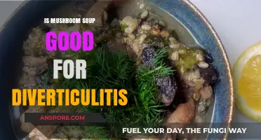 Mushroom Soup and Diverticulitis: A Healthy Choice or Risk?