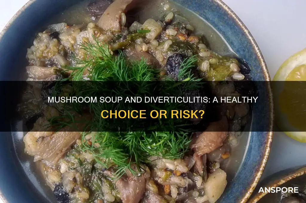 is mushroom soup good for diverticulitis