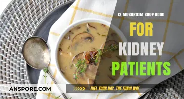Mushroom Soup Benefits: A Kidney-Friendly Option or Risky Choice?
