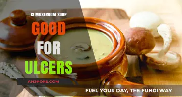 Mushroom Soup and Ulcers: Healing Benefits or Harmful Myth?