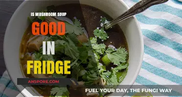 Storing Mushroom Soup: Fridge Tips for Freshness and Flavor