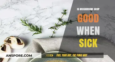 Mushroom Soup's Healing Powers: A Sick Day Superfood or Myth?