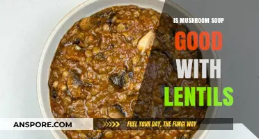 Mushroom Soup with Lentils: A Hearty, Healthy, and Delicious Combo?