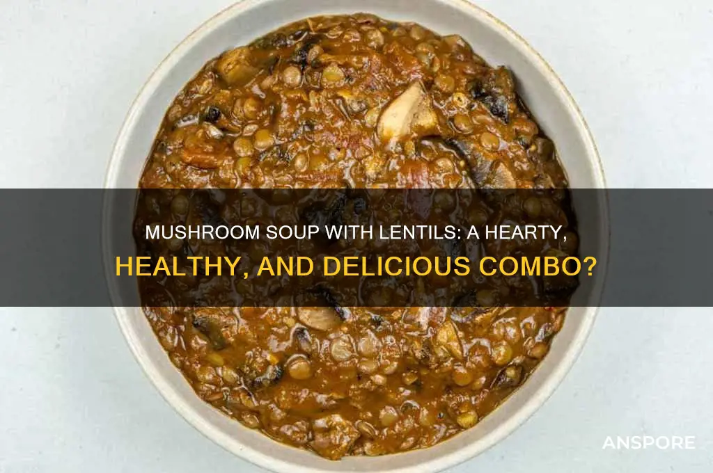 is mushroom soup good with lentils