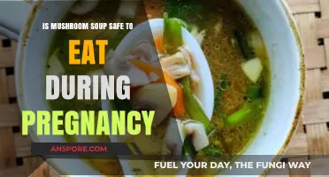 Mushroom Soup During Pregnancy: Safe or Risky Choice?