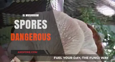 Are Mushroom Spores Dangerous? Unveiling the Truth and Risks