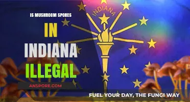 Are Mushroom Spores Legal in Indiana? Understanding the Current Laws
