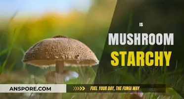 Mushroom Nutrition: Are They Starchy?