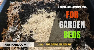 Boosting Garden Beds: Mushroom Substrate Benefits and Best Practices