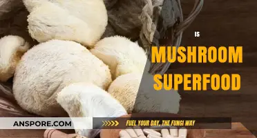 Mushroom Superfood: Nature's Ultimate Health Boost