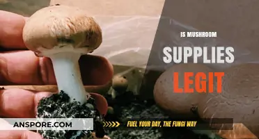 Mushroom Supplies: Legit or a Scam?