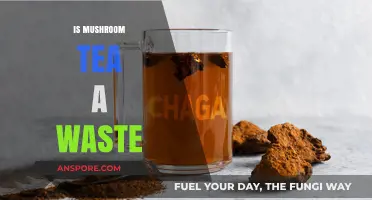 Mushroom Tea: Is It Worth the Hype?
