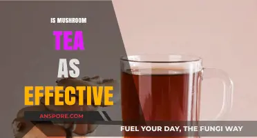 Mushroom Tea: Effective Alternative Medicine?