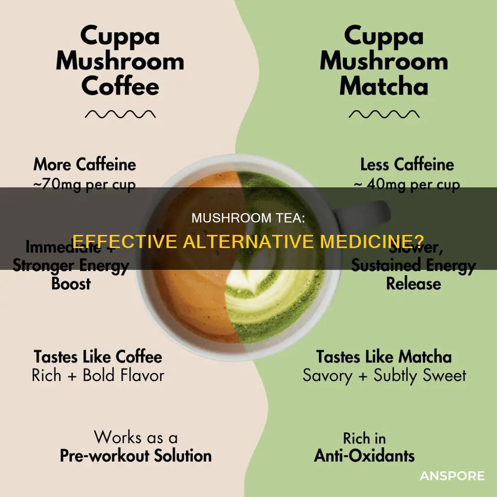 is mushroom tea as effective