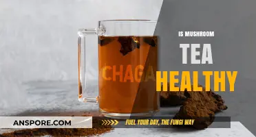 Mushroom Tea: Healthy Brew or Just a Fad?