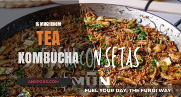 Mushroom Tea Kombucha: A Healthy Brew?
