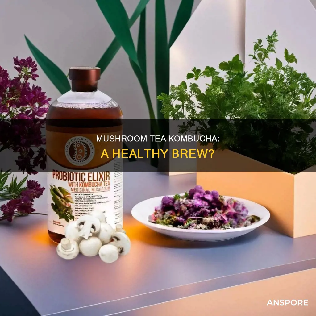 is mushroom tea kombucha