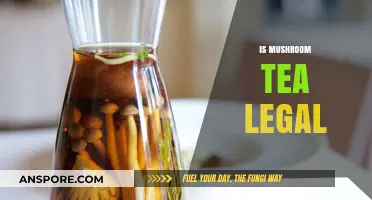 Is Mushroom Tea Legal? Exploring the Legalities of Psychedelic Brews