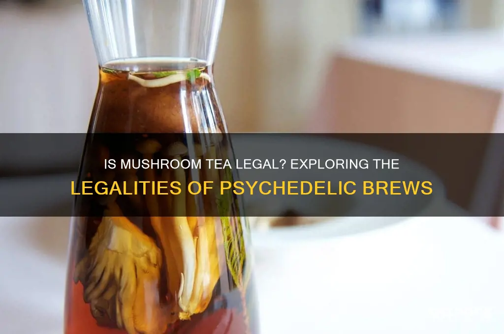 is mushroom tea legal